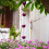 (1 Pack) Rose Flower Rain Chain - Decorative Downspout 2