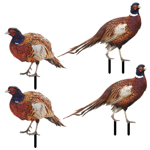 2 Sets Pheasant Gartenstab Bodeneinsatz Realistischer Hahn Acrylschild