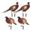 2 Sets Pheasant Gartenstab Bodeneinsatz Realistischer Hahn Acrylschild 4