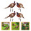2 Sets Pheasant Gartenstab Bodeneinsatz Realistischer Hahn Acrylschild 3
