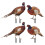 2 Sets Pheasant Gartenstab Bodeneinsatz Realistischer Hahn Acrylschild 2