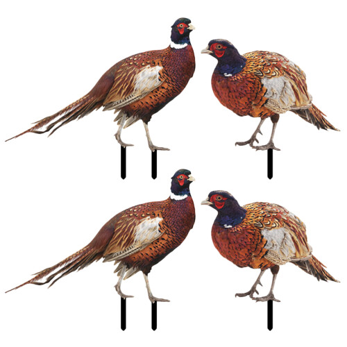 2 Sets Pheasant Gartenstab Bodeneinsatz Realistischer Hahn Acrylschild 1