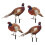 2 Sets Pheasant Gartenstab Bodeneinsatz Realistischer Hahn Acrylschild 8