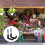 Crochet d'organisation de Garage antidérapant, pour outils-S 4