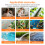 Digital Water Tester Accurate Temperature Readings Outdoor Use 5