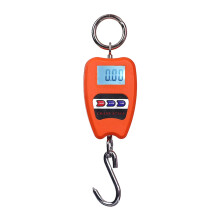 Digital Hanging Scale 200 Kg Capacity 441 Lb Hanging Weight Scale For Fishing, Hunting, Bicycles
