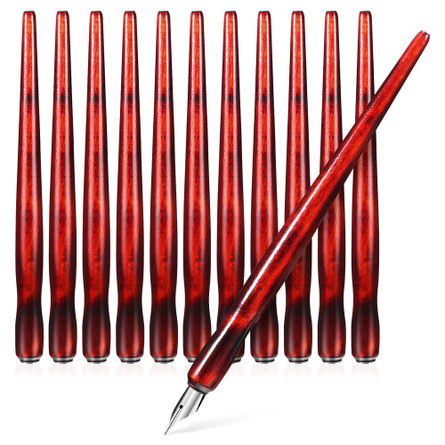12 stylos plume avec porte-plumes accessoires