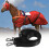 Horse Equipment Adjustable Length Elastic Leg Straps 4pcs 7