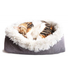 Petkussen Slaapmat Kat En Kittens Winter Wit