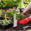 Clear Scale Rain Gauges Replacement Tubes High Visibility 7