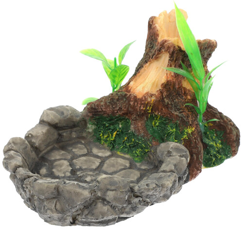 Terrário Estilo Com Suporte
