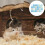2 Pcs Repouso Refrescante Para Animais Hamster Coelho 9