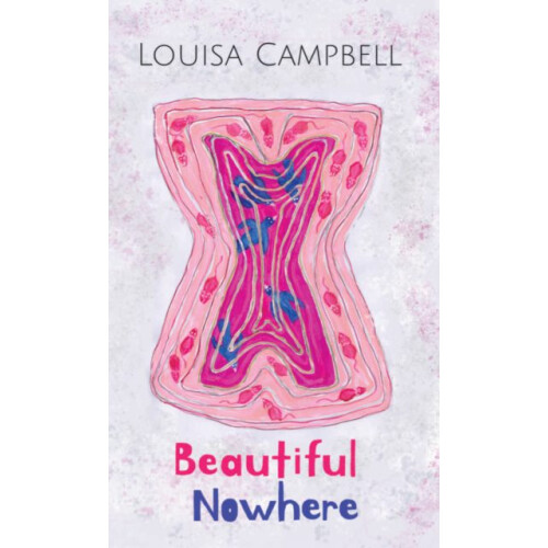 Beautiful Nowhere by Louisa Campbell Paperback Book