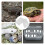 Boîte D'Élevage En Pour Reptiles Lézards 6