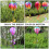 Durable Plastic Outdoor Decor 1pc 3