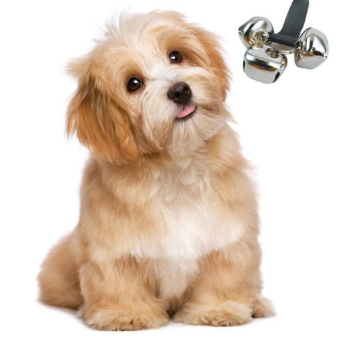 Per Addestramento Cane, Suono Porta, Cucciolo 1