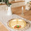 Golden Aluminum Food Divided Plate Multi-Compartment Kitchen Dish 10
