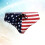 Men Usa Flag Brief Triangle Swimwear S 9
