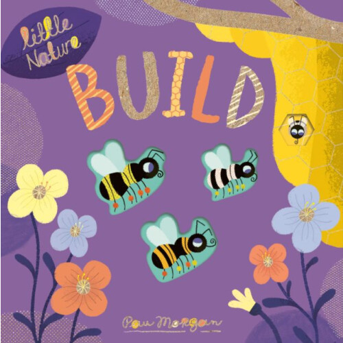 Build by Pau Morgan Other Book