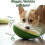 Interactive Mental Exercise Dog Toy Rollable Ball Slow Feeder 5