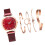 5pcs Bangle Watch Set Quartz Alloy Elegent Jewelry with Box 2