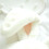 (White) Bunny Hat Warm Plush Ears Costume White 4