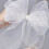 Bunte Fliegen-Clip Damen Stoff 5