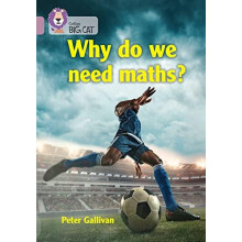 Why do we need maths by The Royal Institution Paperback Book