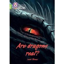Are dragons real by Isabel Thomas Paperback Book