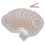 Sacca Colostomia Silicone 10pz Anallergica 3