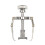 Ingrown Nail Kit Sticker Clamp Lifter 5