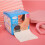 Armpit Sweat Pads Disposable Antiperspirant Absorbent Shield 5