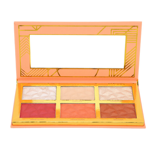 6-farbiges langanhaltendes Contour Blush Puder
