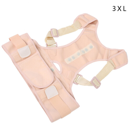 (3XL Complexion) Back Brace Posture Corrector Magnetic Lumbar 3XL 1