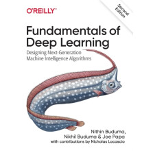 Fundamentals of Deep Learning by Joe Papa Paperback Book