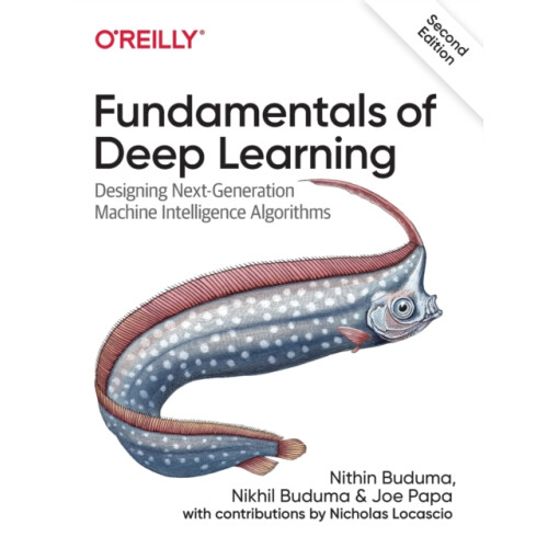 Fundamentals of Deep Learning by Joe Papa Paperback Book