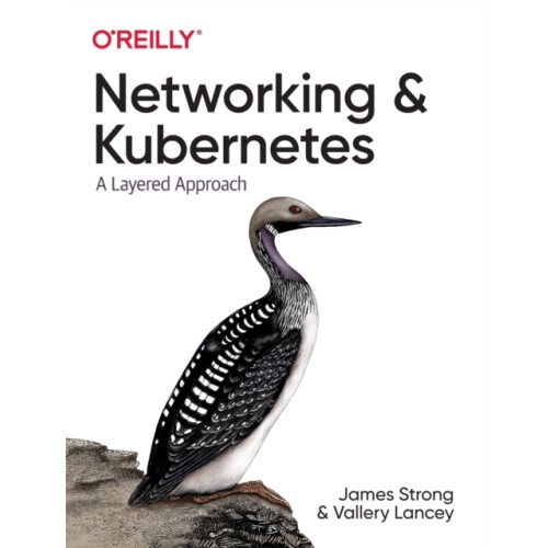 Networking and Kubernetes by Vallery Lancey Paperback Book