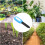 Intelligent Soil Tester Monitors Detector Moisture & Light Level 4