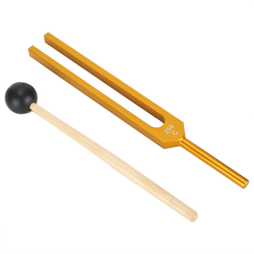C256 Aluminum Tuning Fork Hammer Kit Hearing Diagnostic Therapy 1