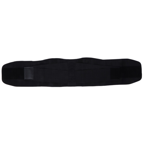 (L Black) Gym Lumbar Back Support Belt Black 1