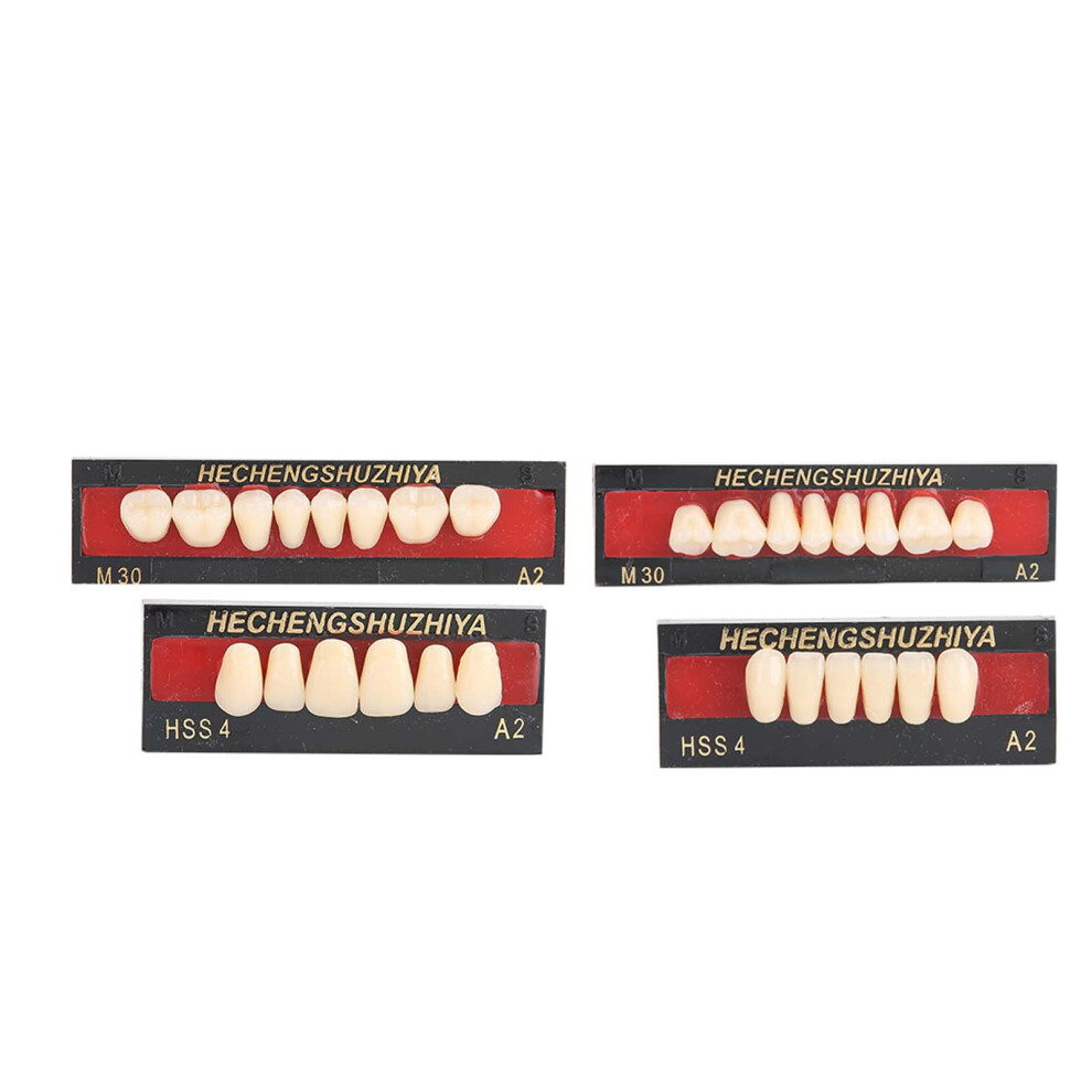 Dental Synthetic Resin False Teeth Filling Care Tool