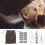 (4pcs / set) Beard Kit 4pcs Brush Comb Scissors Knife 5
