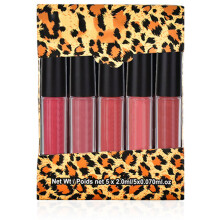 (Type A) TEAYASON 5x Mini-Matte-Lippenstift-Gloss-Set Typ B
