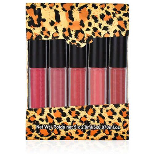 (Type A) TEAYASON 5x Mini-Matte-Lippenstift-Gloss-Set Typ B