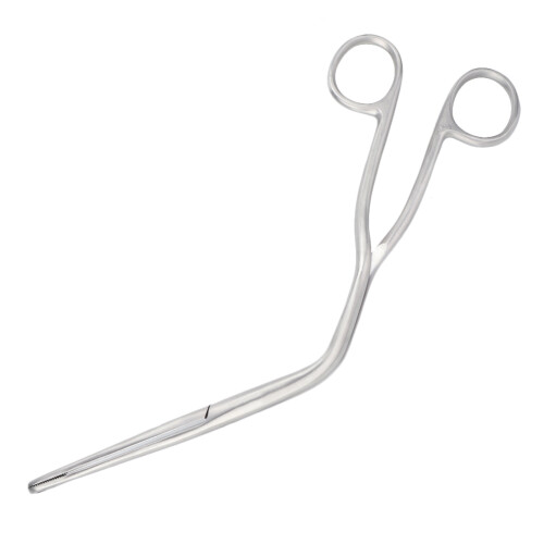 25cm Stainless Steel Alligators Forceps ENT Surgical Tool 2