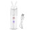 (White) 30ml Mini Nano Spray Humidifier Wit 1