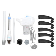 (UK Plug 220V) Ionischer Gesichts-Dampfer für SPA & Beauty, UK-Stecker