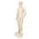 26cm PVC-Akupunktur-Körpermodell Lehrmodell 2