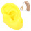 (Yellow) Yellow Soft Silicone Human Ear Model Teaching Aid 5