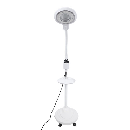 LED Beauty Salon Floor Lamp 1